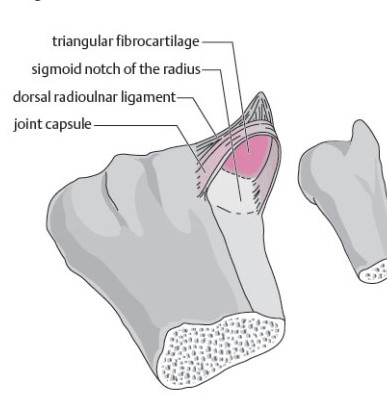 image4.jpg
