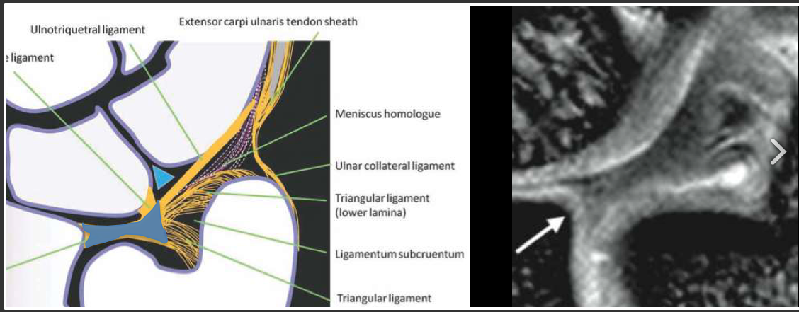 image6.png